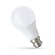 Żarówka ledowa LED B-22 230V 10W barwa ciepła B22