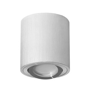 Zdjęcie Lampa oprawa sufitowa ruchoma CT36 inox