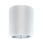 Oprawa sufitowa lampa natynkowa E27 do LED